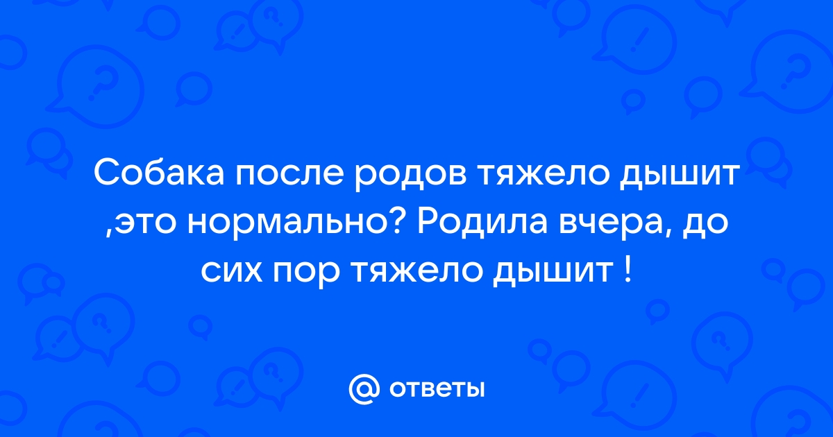 Эклампсия после родов у собаки - как лечится? - отвечает ветврач