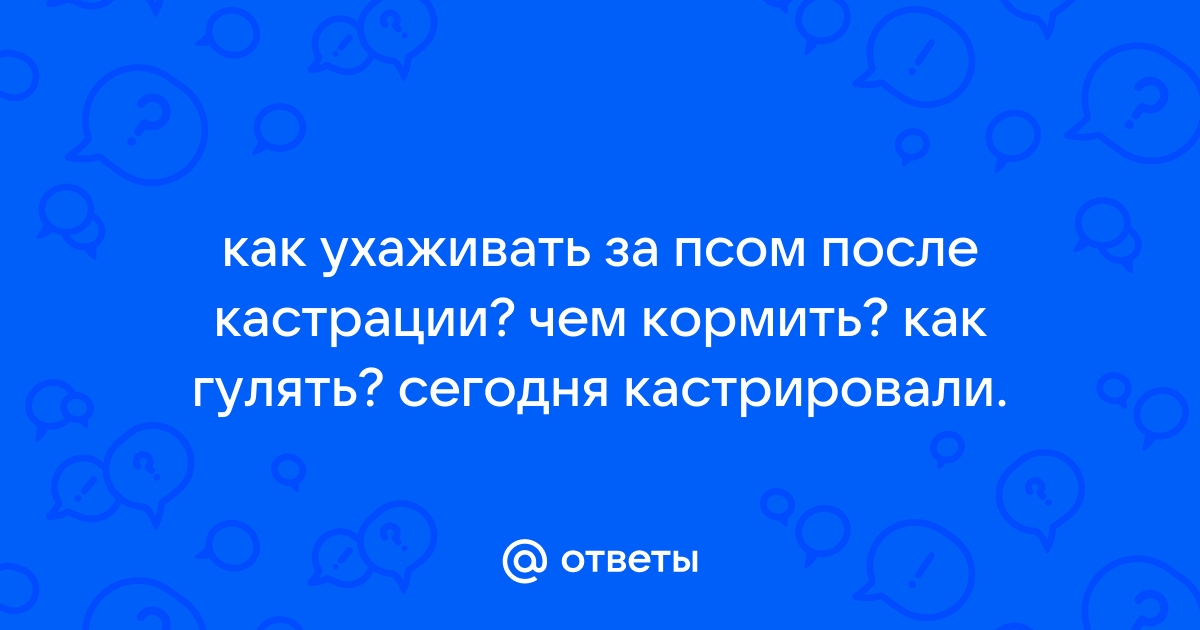 Зачем нужны псевдонимы кто и зачем скрывается под маской проект 6 класс