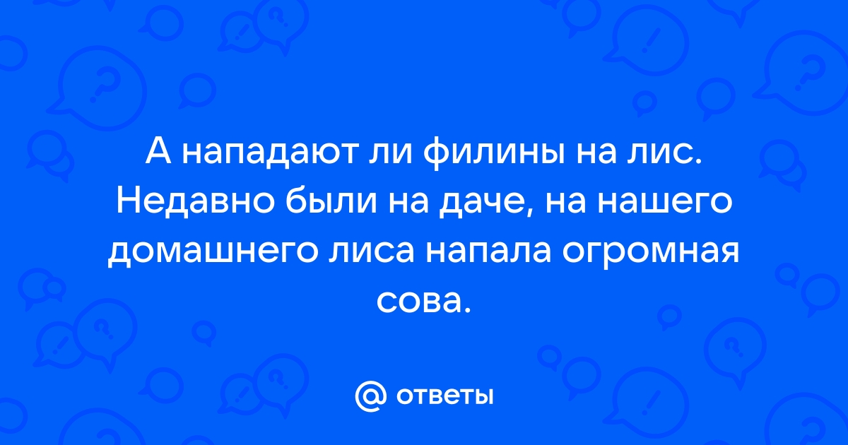 К чему увидеть сову