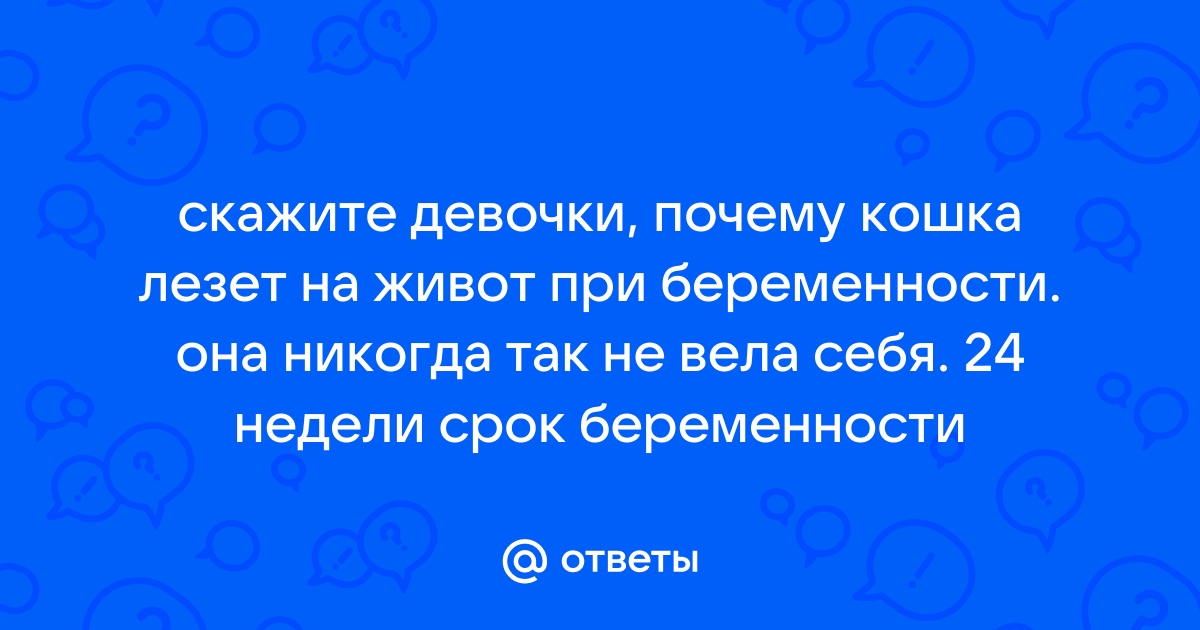 Почему кошки ложатся на живот беременной женщины? Видео🎦