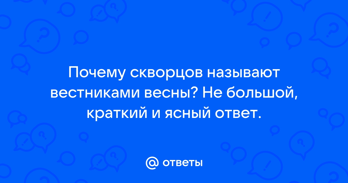 План что и говорить был превосходный простой и ясный лучше не придумать