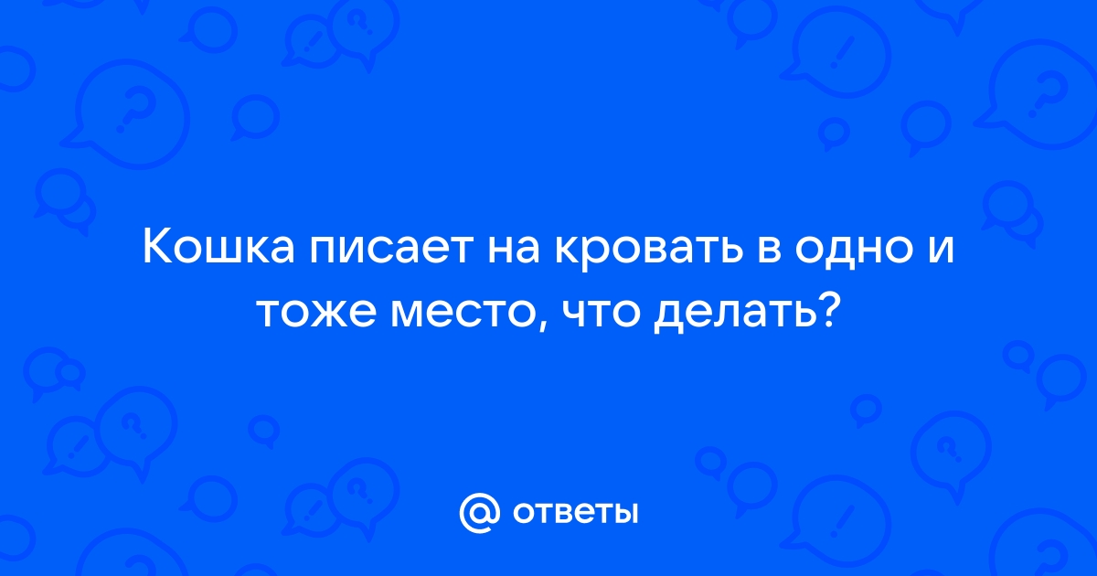 Ваша кошка писает мимо лотка?