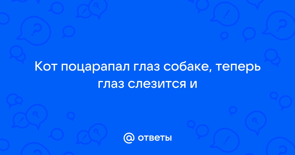 Что делать при ранении глаза когтем