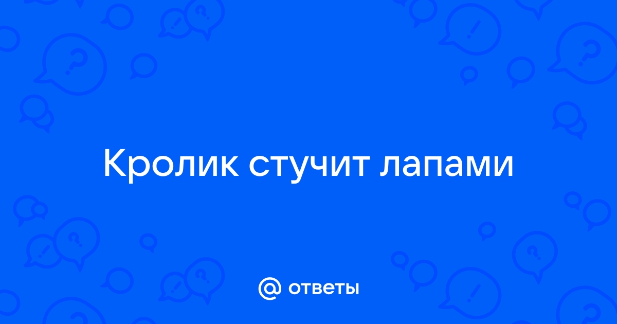 Странное поведение кролика. Как его понять? | КРОЛИКИ: ЗДОРОВЬЕ, ПИТАНИЕ, СОДЕРЖАНИЕ, ЛЕЧЕНИЕ | VK