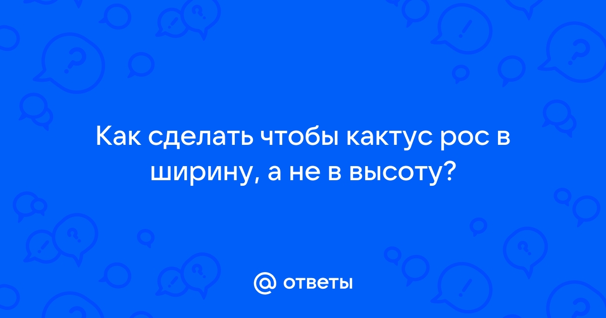 Кактусы, часто задаваемые вопросы