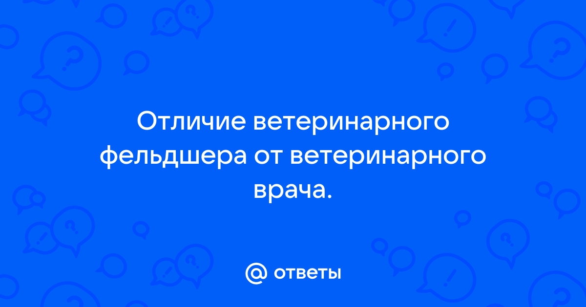 чем занимается ветеринарный фельдшер в ветклинике | Дзен