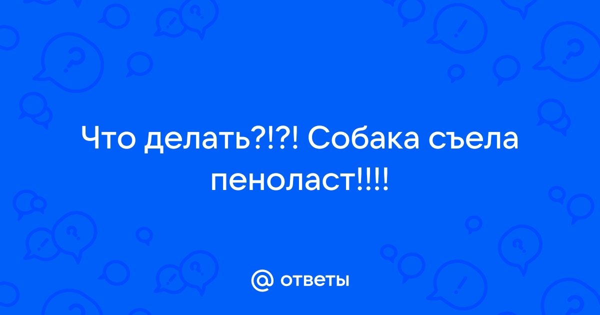 Собака съела пенопласт что делать