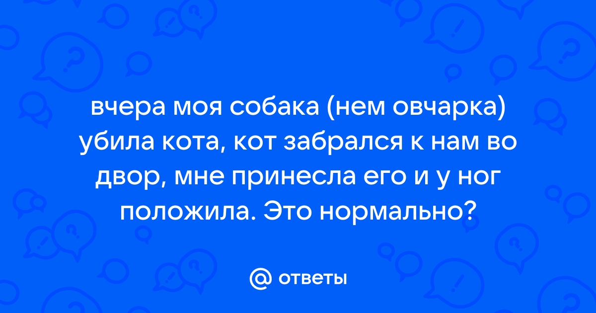 Я телефон убила свой а мне должно прийти 2 сообщение можно пришлю тебе