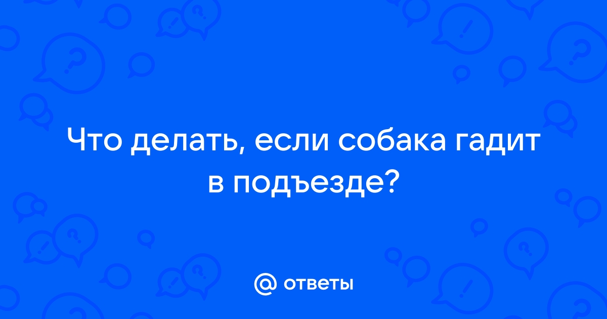 Соседи мусорят в подъезде: что делать?