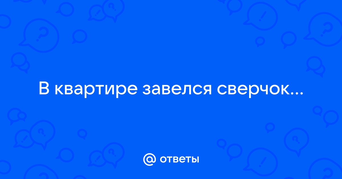 Как найти и вывести сверчка, появившегося в доме?