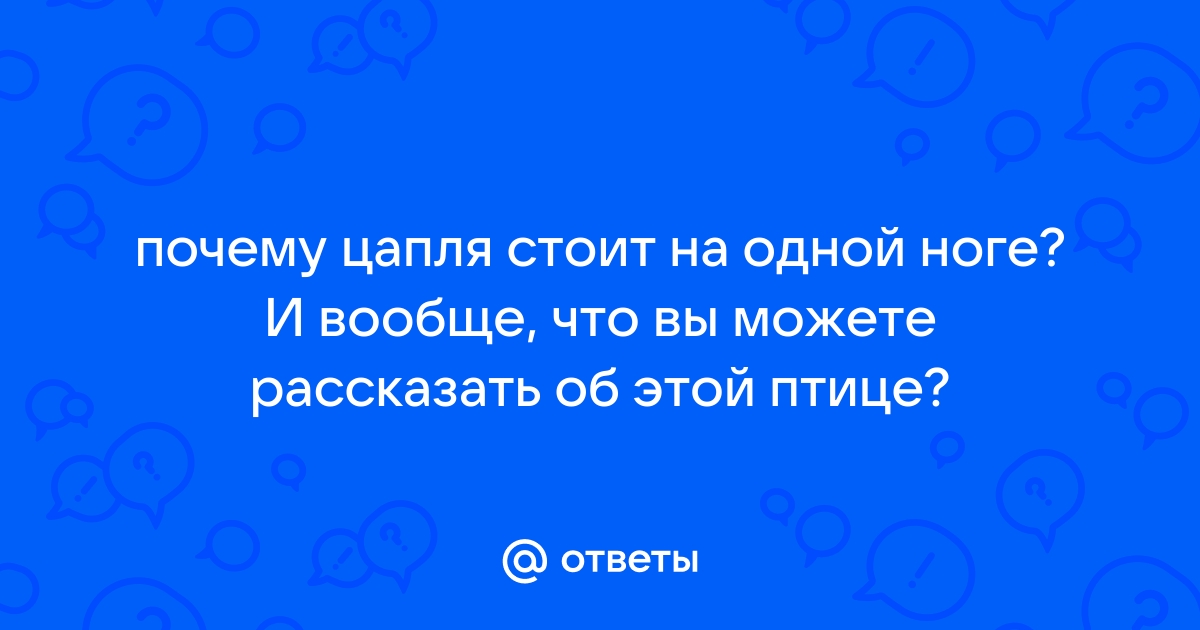 Почему цапли на одной ноге стоят (Буковский Юрий) / maxvi23.ru