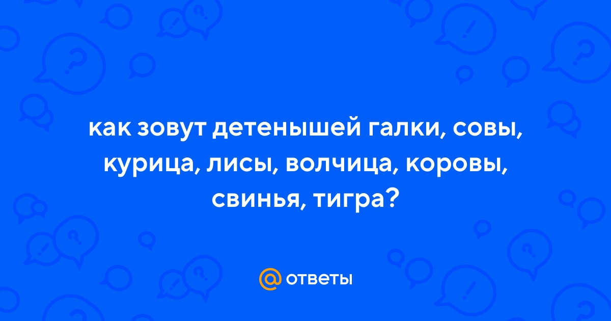 Ответы Mail.ru: как зовут детенышей галки, совы, курица, лисы, волчица,  коровы, свинья, тигра?