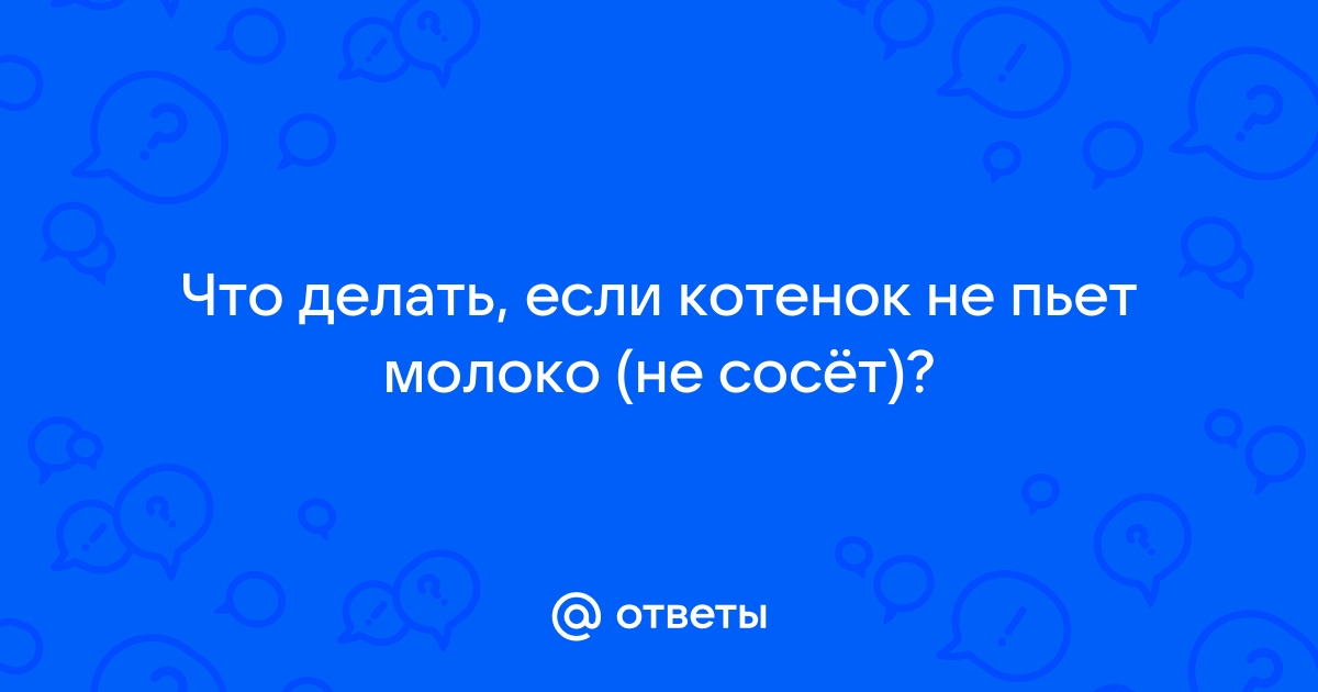 Что такое Синдром угасания новорожденных котят? Техника ведения тяжелых неонатов.