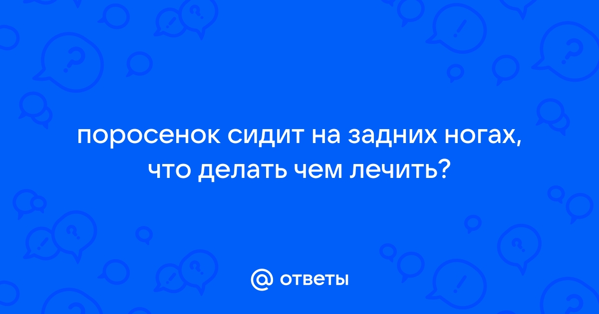 Почему поросенок не встает на задние ноги и как их лечить?