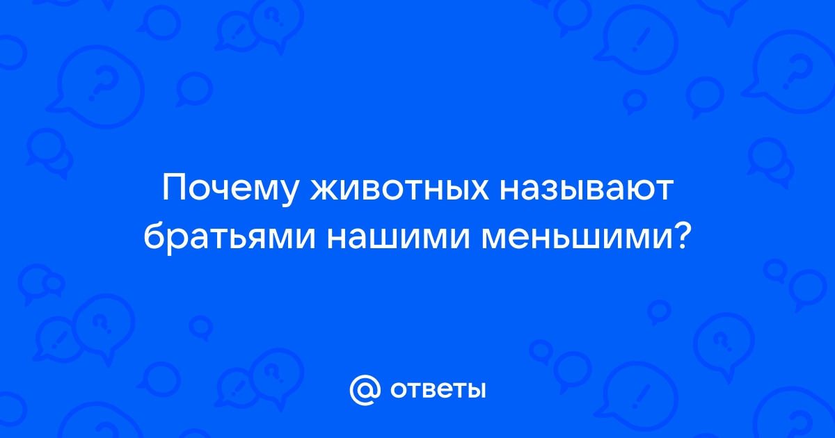 4 октября - Всемирный день животных