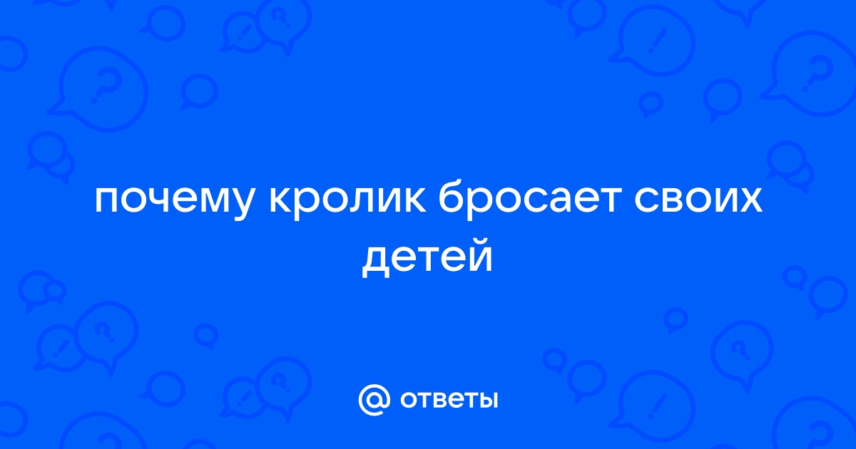 Почему крольчиха разбрасывает или съедает своих крольчат