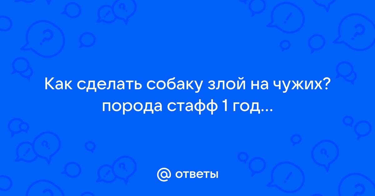 Что такое Happy Staff: 10+ способов создать настроение и уют в офисе