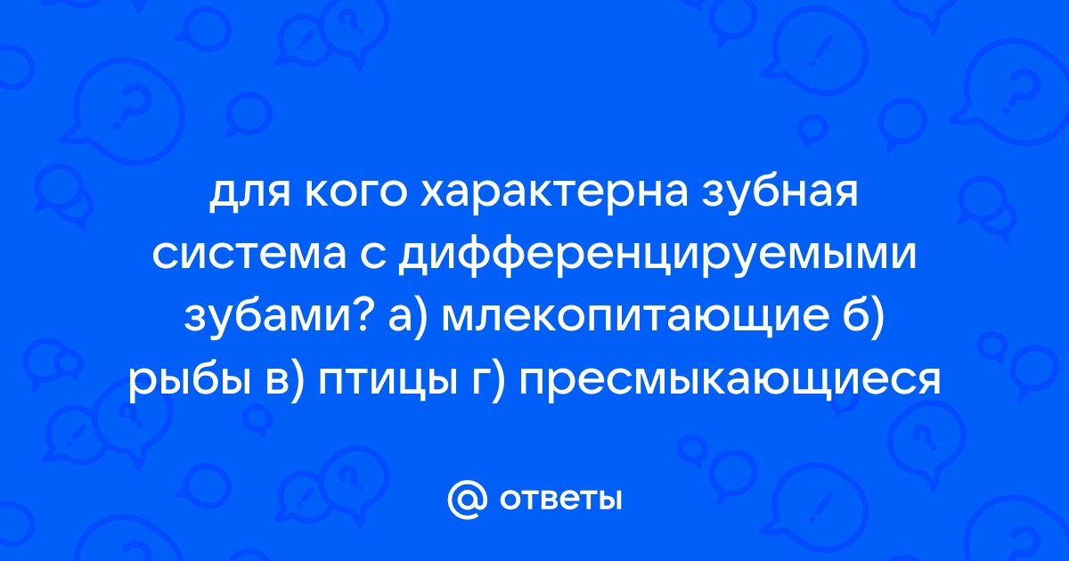 Привет! Нравится сидеть в Тик-Токе?