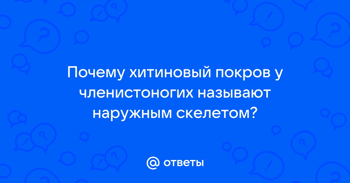 9 Членистоногие