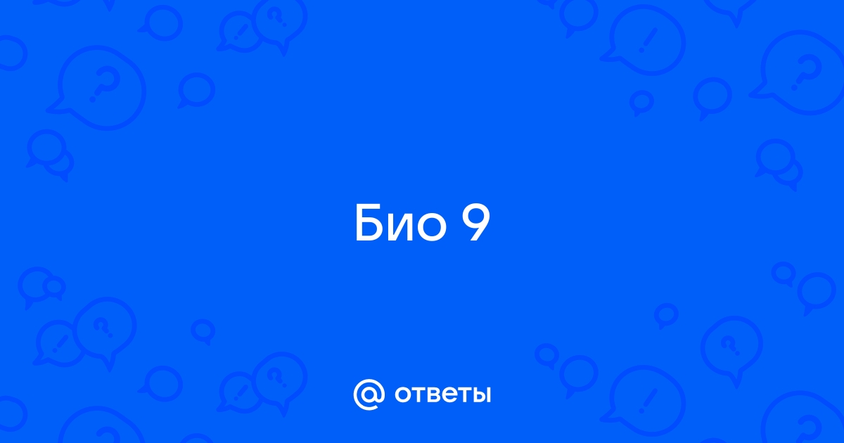 Какой орган человека может служить образцом при изготовлении гибких душевых шлангов 1 пищевод