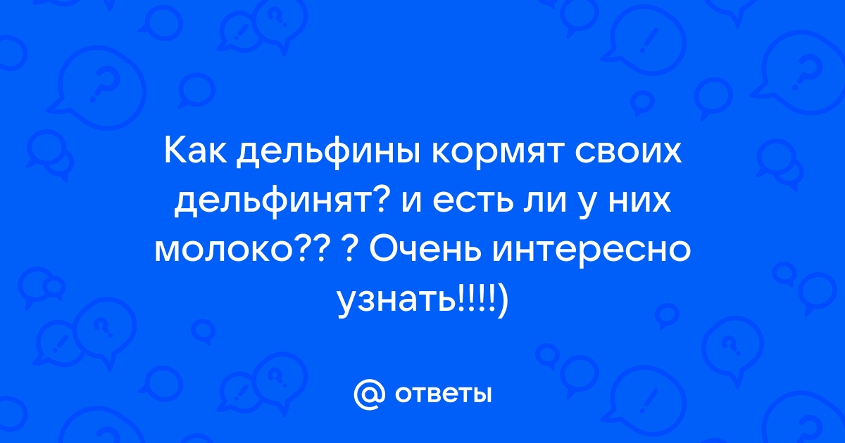 10 мифов о дельфинах, в которые вы верите зря