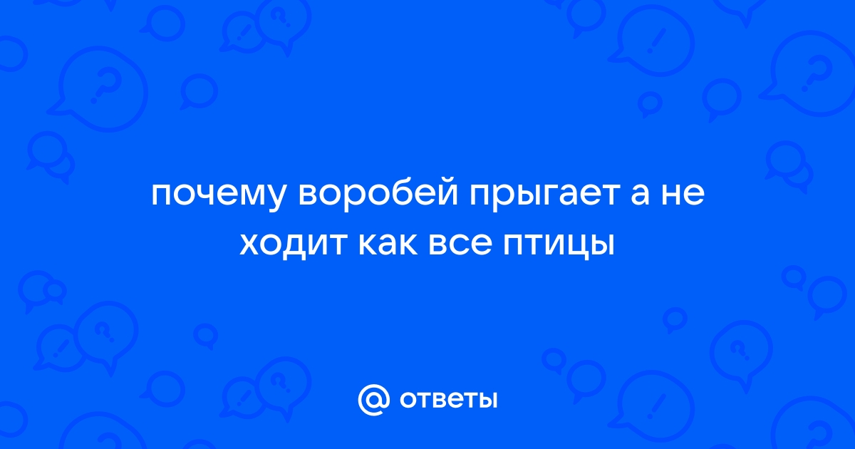 Воробей – санитар зеленых насаждений - Парки москвы - отличное место для прогулки и не только