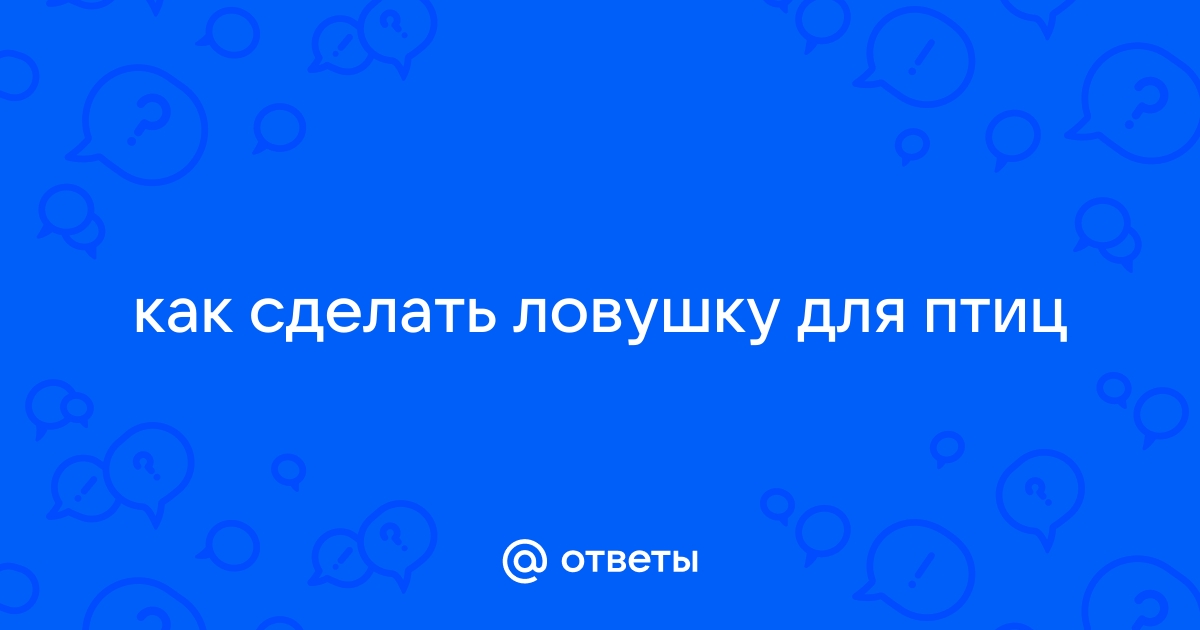 Ответы artcentrkolibri.ru: как сделать ловушку для птиц