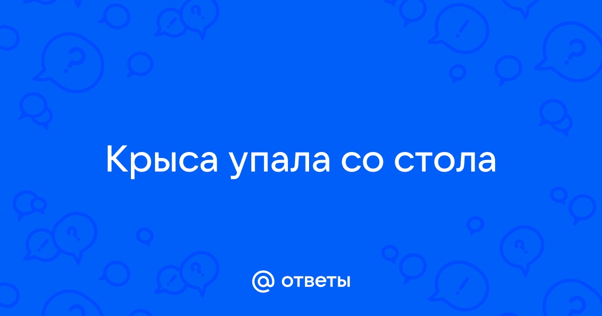 Крыса упала со стола на пол