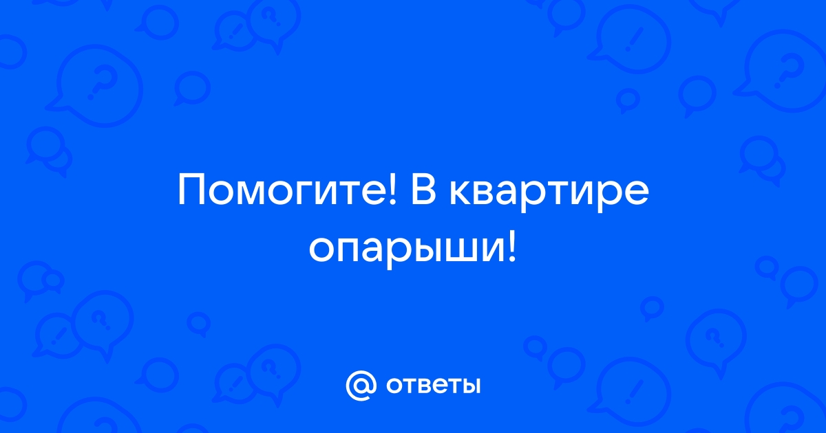 Опарыши на полу в квартире