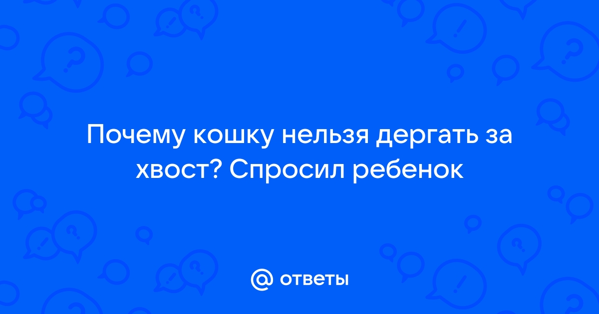 Почему нельзя дергать кошек за хвост