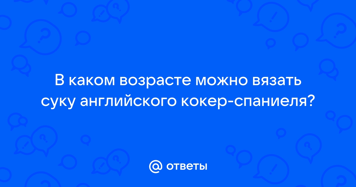 Определение оптимальных сроков вязки — ветеринарная клиника «dobroheart.ru’s»