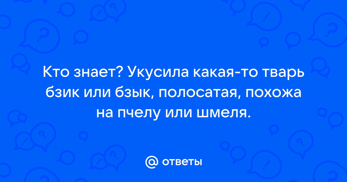 Как правильно называется бардачок