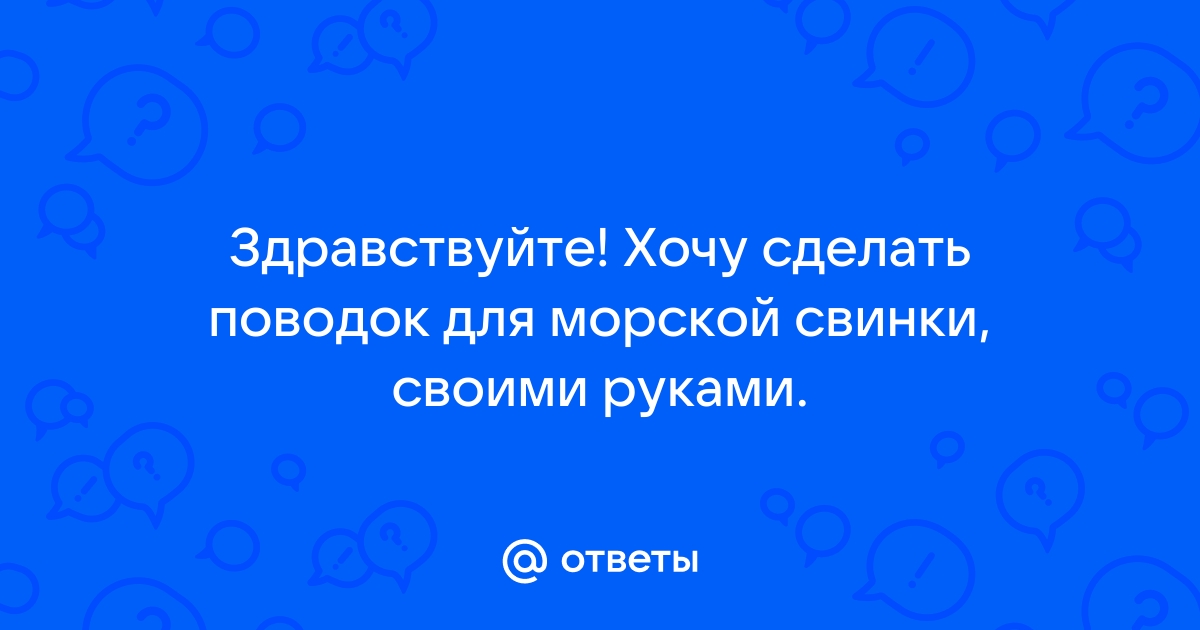 Здравствуйте! Хочу сделать поводок для морской свинки, своими руками.