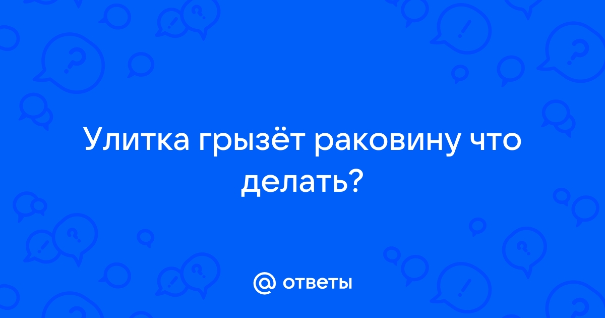 Почему улитка ахатина грызет свою раковину