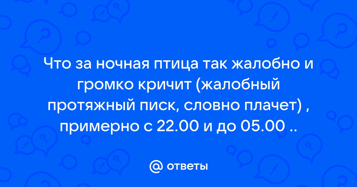 Россиянку оштрафовали за слишком громкие крики во время избиения мужем: Общество: Россия: gd-alexandr.ru