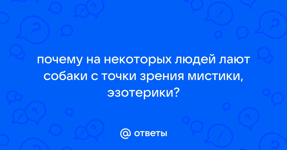 Отчего собаки неистово лают на одних людей, а к другим проявляют только дружелюбие