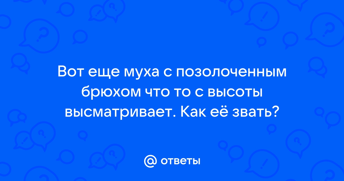 И картинок много тут как их правильно зовут