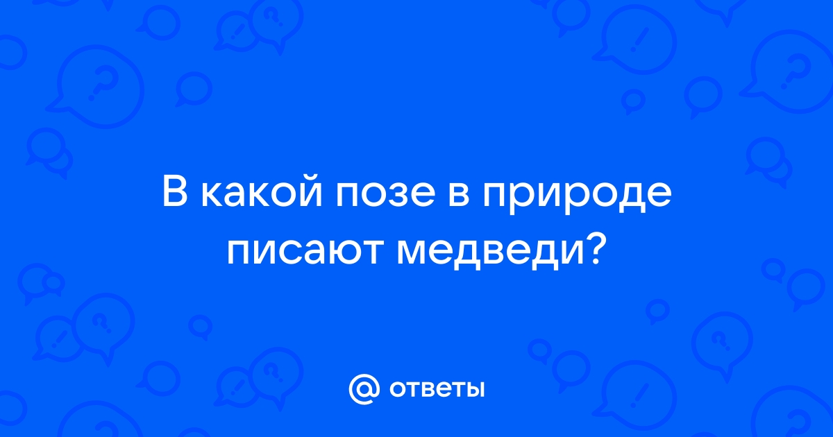 Виктория Бекхэм поразила подписчиков своими мышцами на новом фото из Италии - Чемпионат