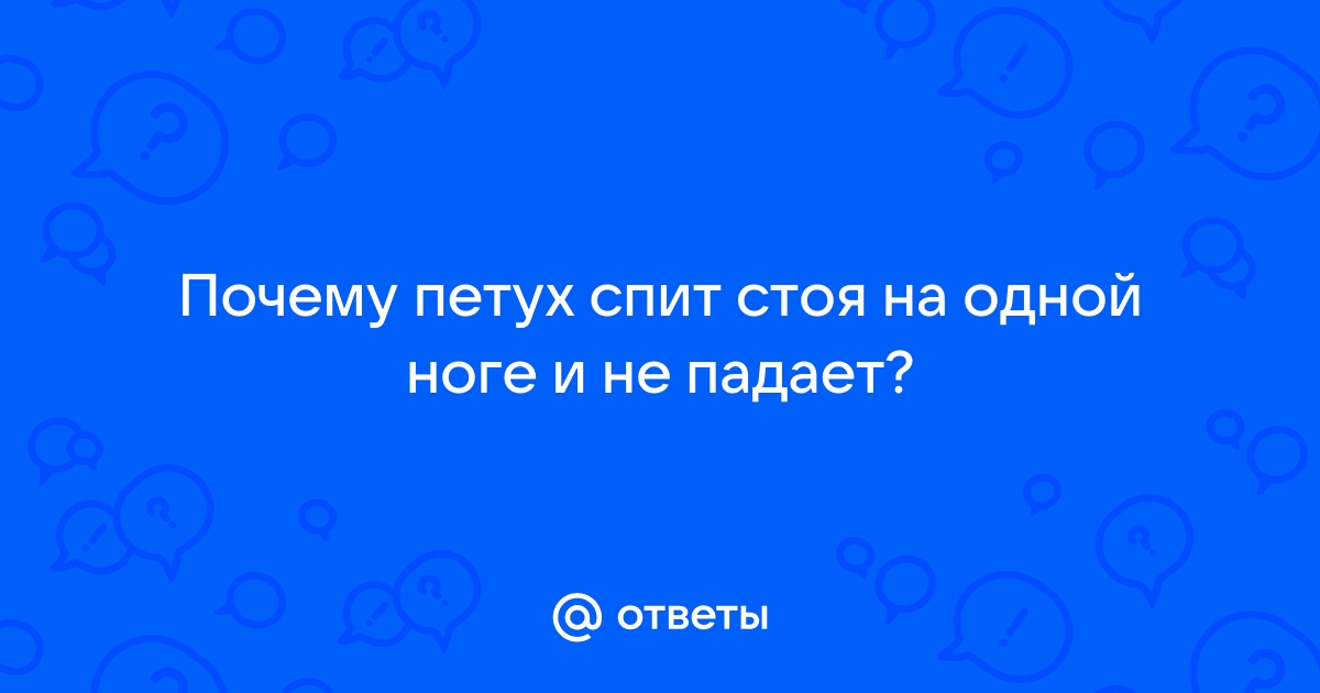 Причины хромоты у домашней птицы