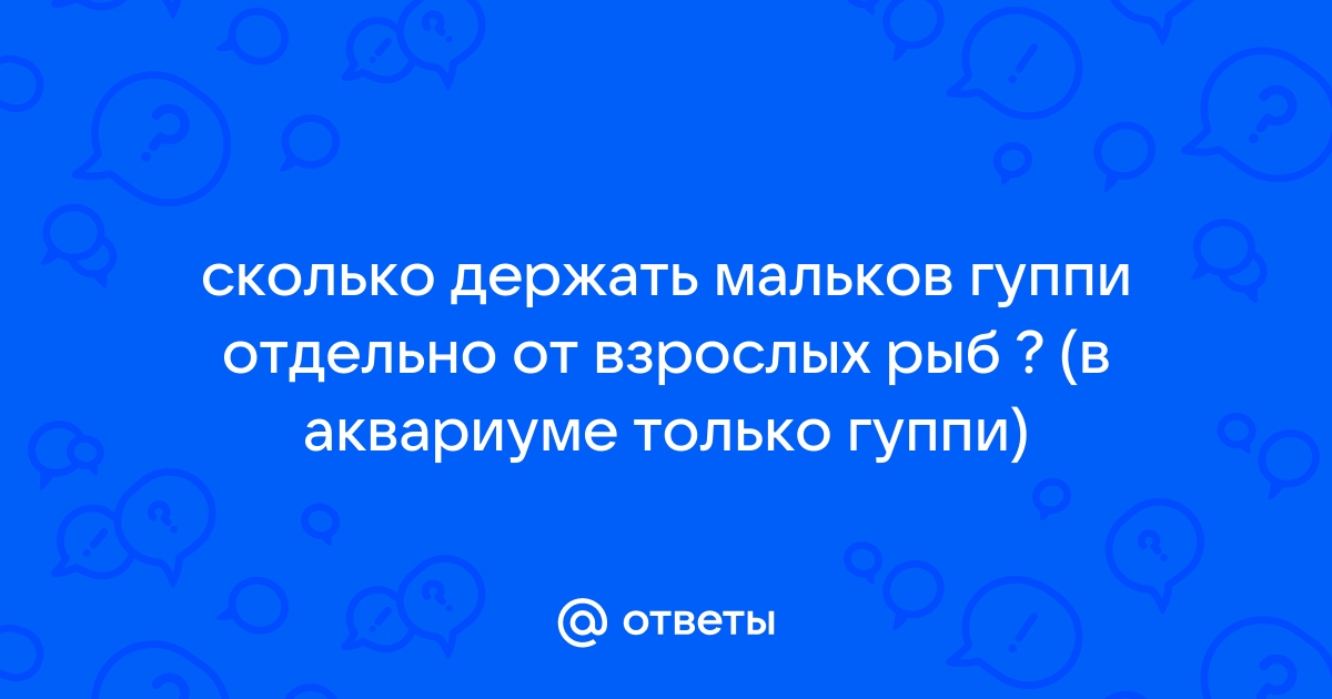 Реферат: Влияние сотового телефона на развитие мальков гуппи