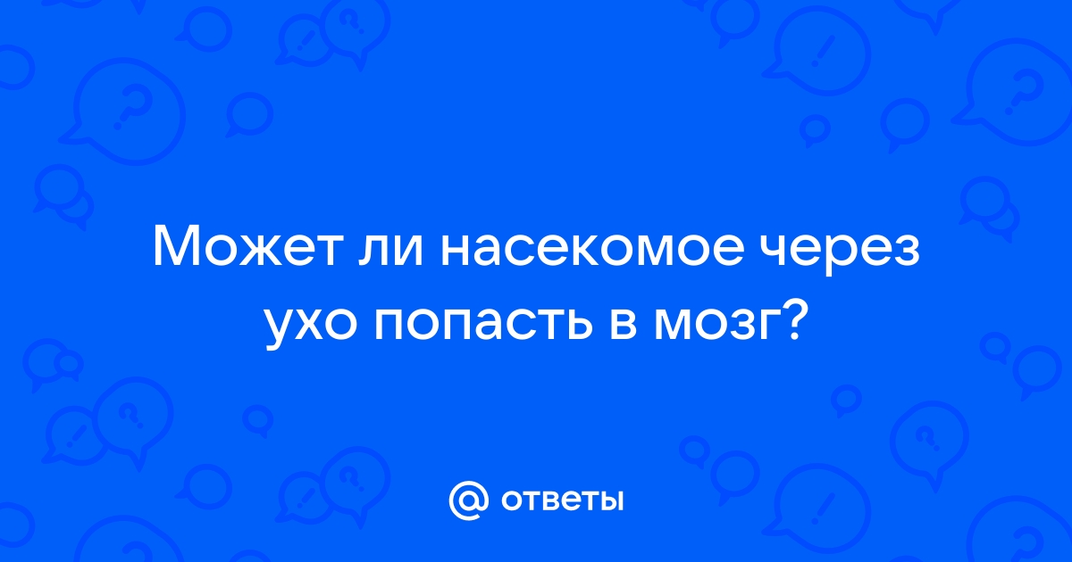 Может ли насекомое залезть в ухо?