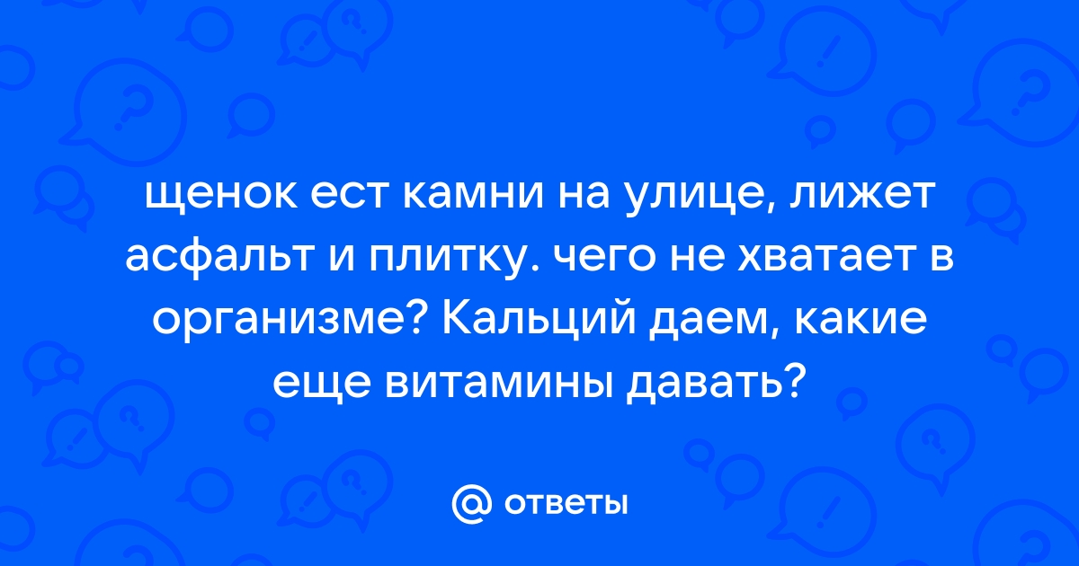 Пес лижет асфальт! - Форум - Здоровье собаки - Группы - yarpotolok.ru :: Всё о породе ньюфаундленд