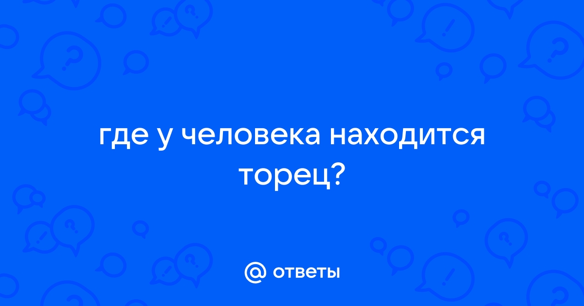 Где находится торец