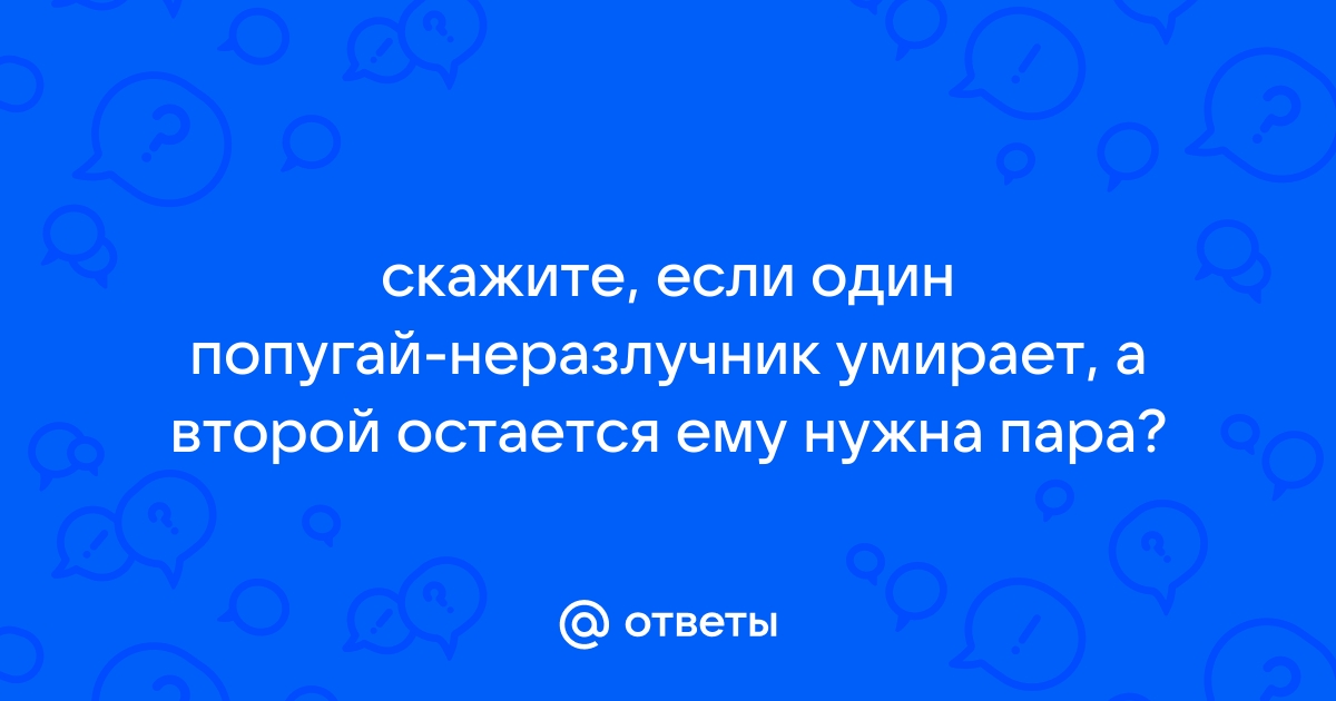 Почему умер неразлучник? Подскажите пожалуйста. - 15 июня - Форум Зоовет