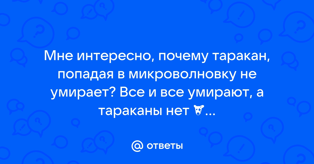 Суринамский мукоед – опасный вредитель пищевых запасов