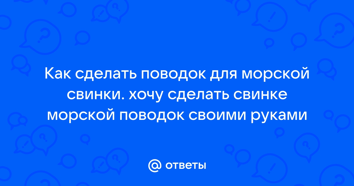 Как сделать лакомства для морских свинок, крыс, хомяков, шиншилл, кроликов