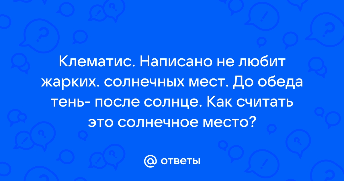 С утра было холодно накрапывал дождь но после обеда выглянуло солнце план