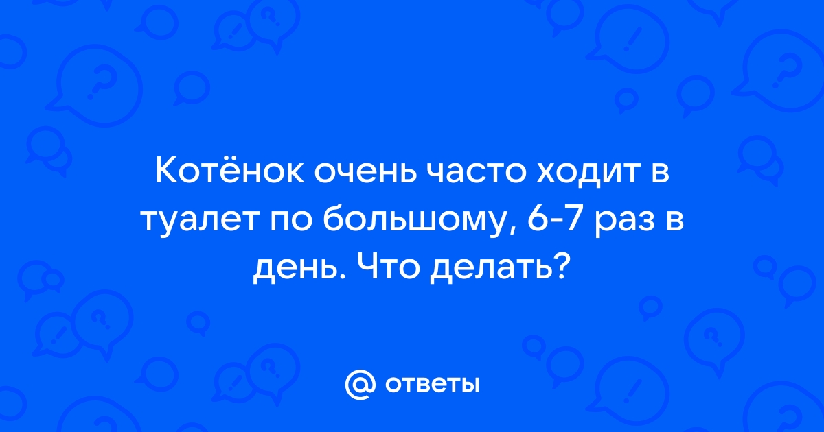 Новорожденный котенок не ходит в туалет по большому