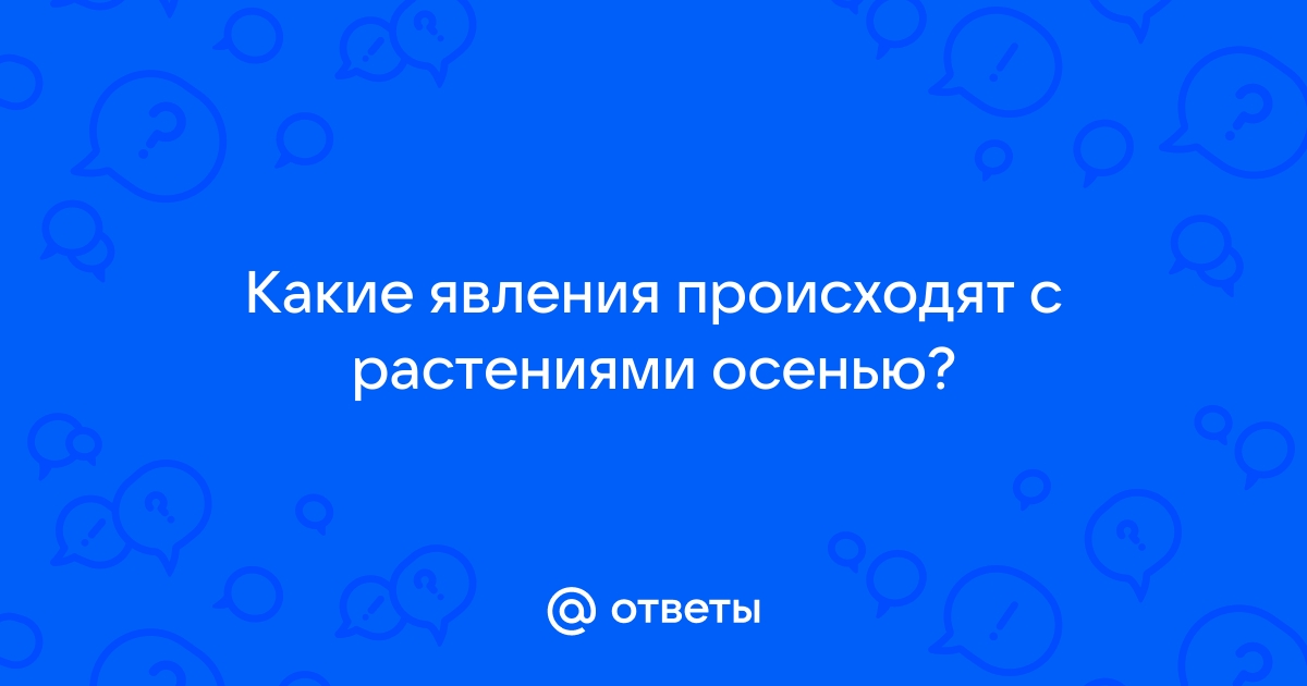 Какие физические явления происходят при работе мобильного телефона плеера компьютера