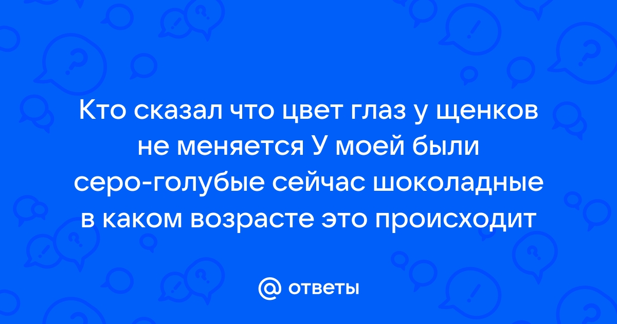 Гетерохромия у собак: почему глаза питомца разного цвета